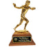 The Heisman Pinnacle Award