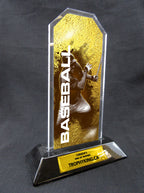 Best Baseball Awards