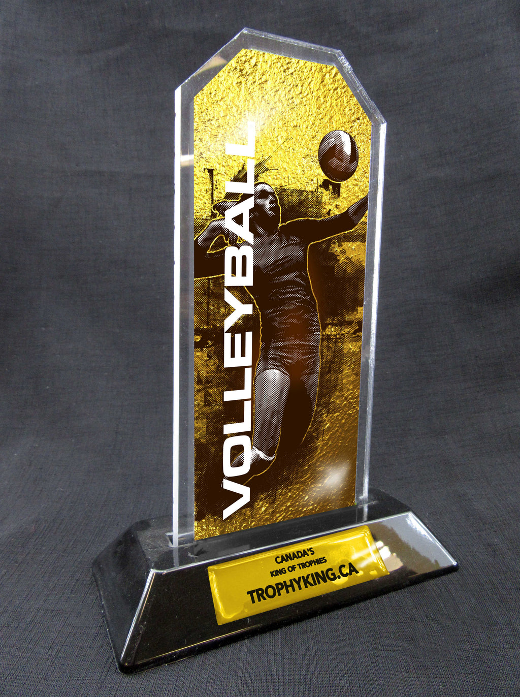 7" Peak Acrylic Award - Volleyball