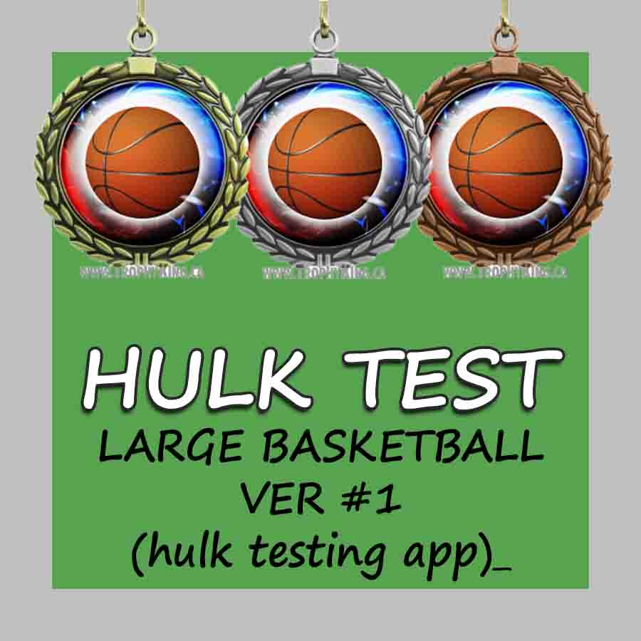 2.50 Large Medal - Basketball 1 (hulk app testing product)