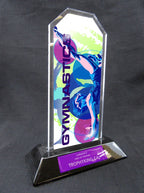 7" Peak Acrylic Award - Gymnastics
