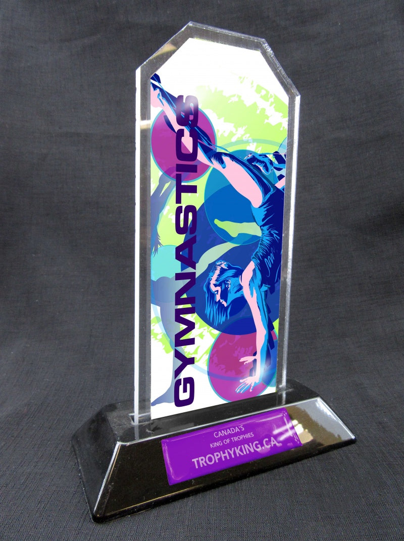 7" Peak Acrylic Award - Gymnastics