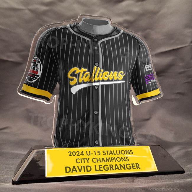 Custom Acrylic Baseball Jersey Award