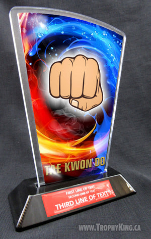 Taekwondo Acrylic Award | Taekwondo Award | The Trophy King