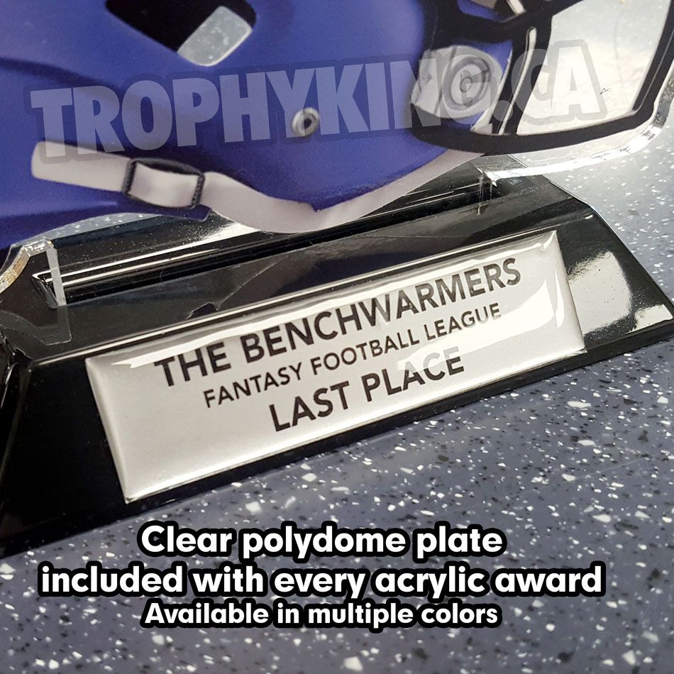 6" Basketball Shaped Acrylic Award