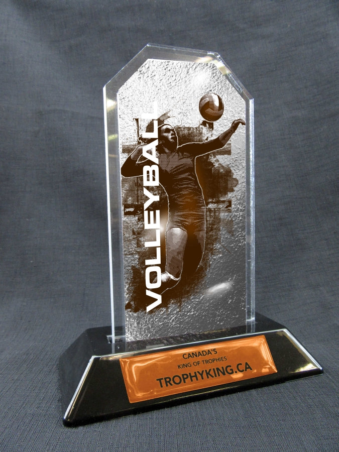 8" Peak Acrylic Award - Volleyball