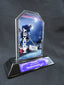 6" Peak Acrylic - Hockey2