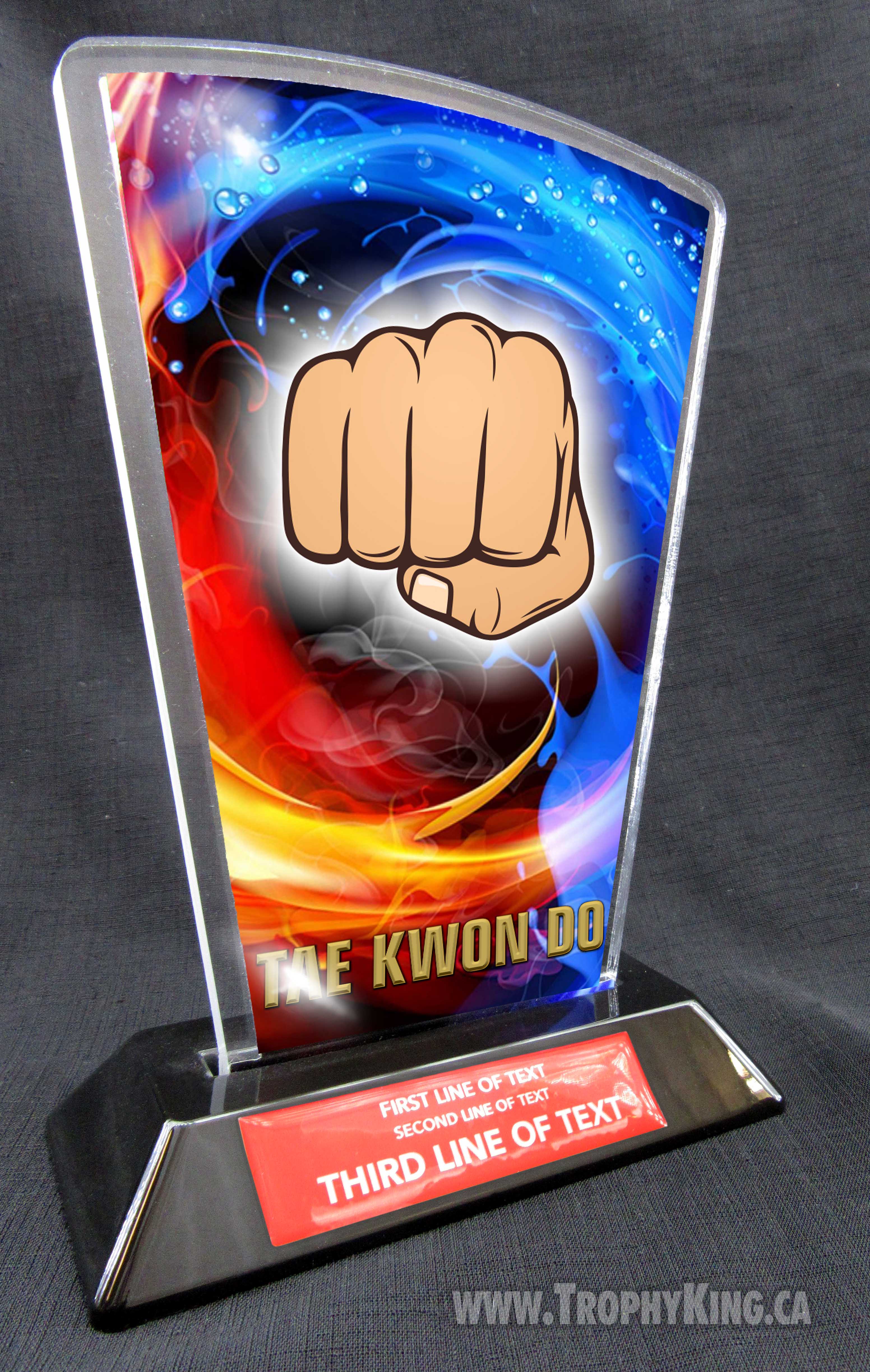 Taekwondo Flare Acrylic Award | Taekwondo Award | The Trophy King Main image