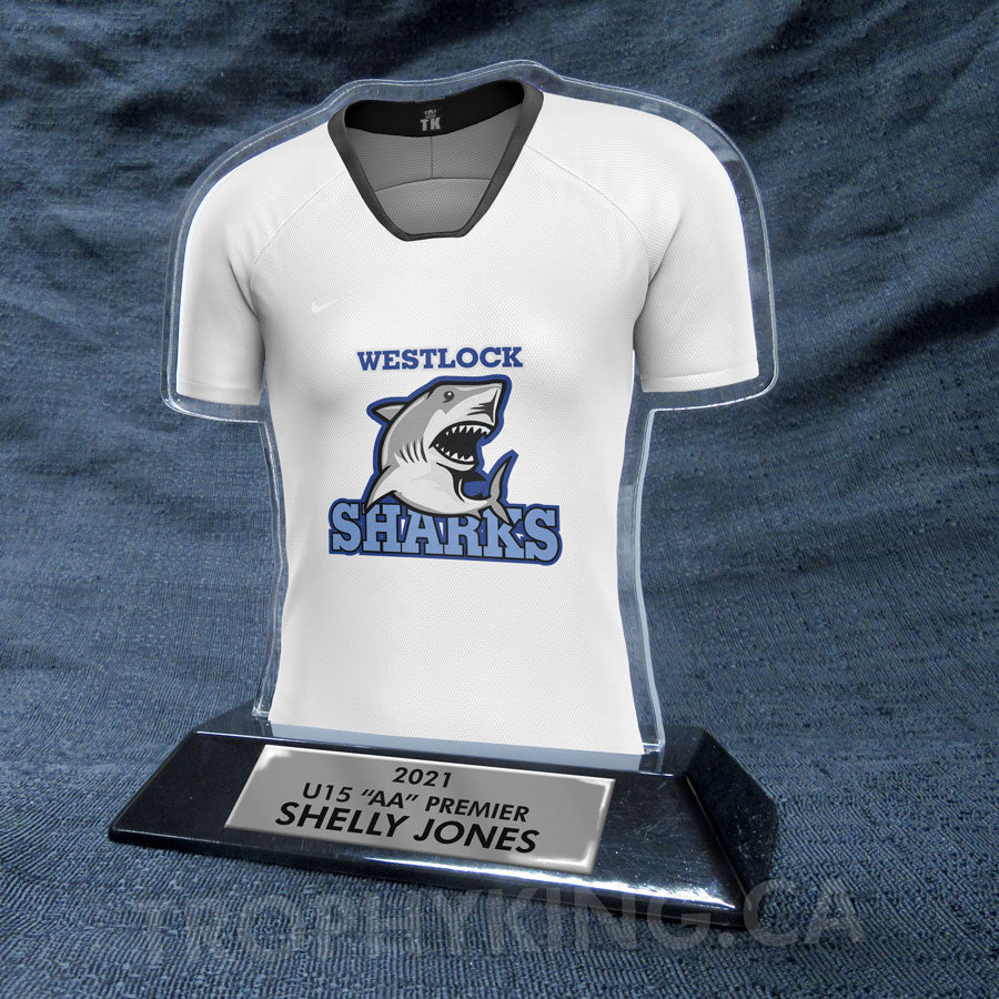 Female Soccer Jersey with Sleeves