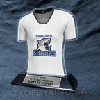Female Volleyball Jersey with Sleeves