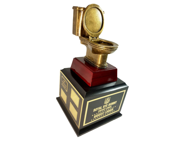 Toilet Award Of Excellence
