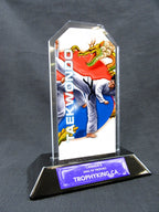 7" Peak Acrylic Award - Taekwondo