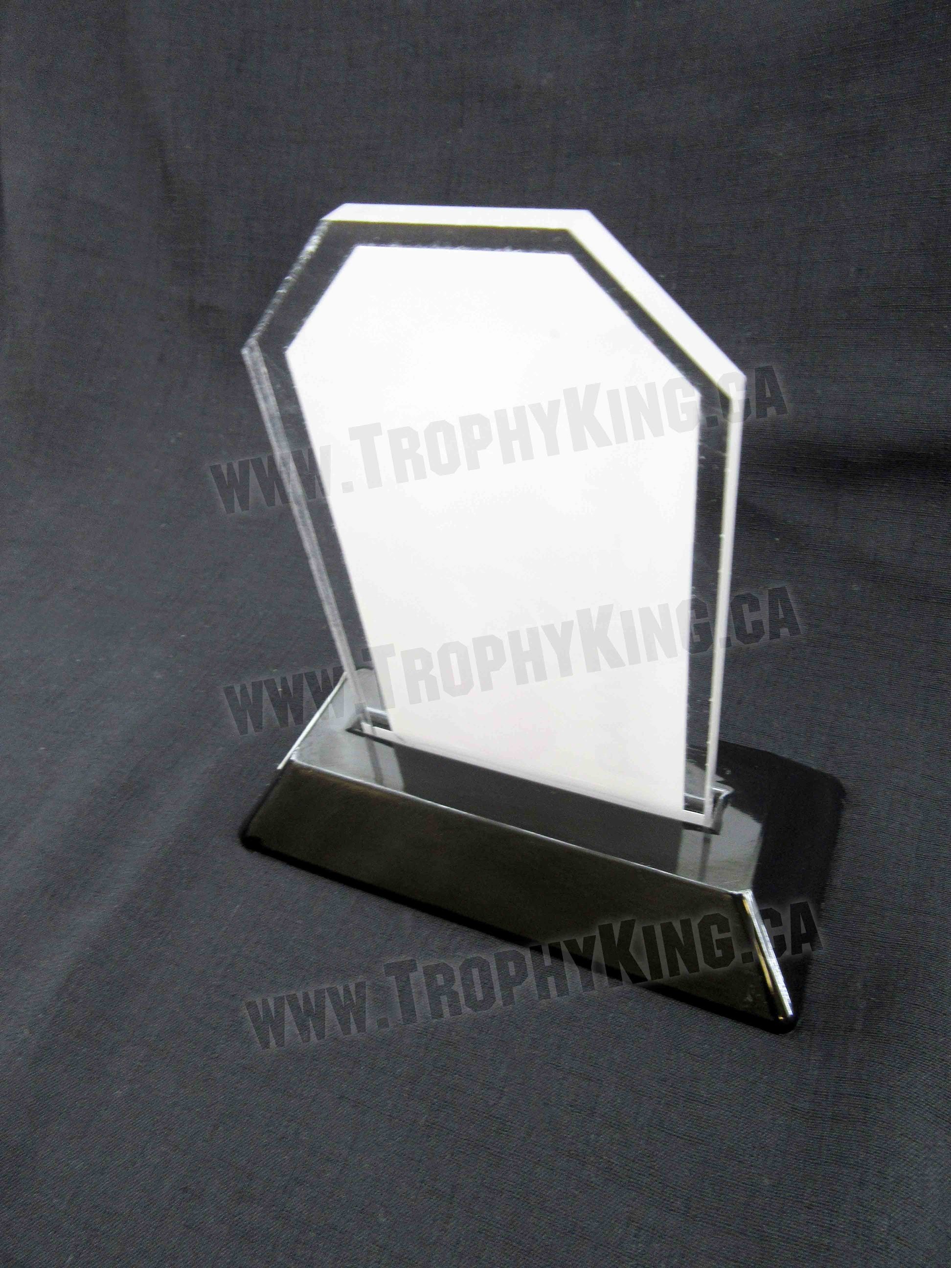 6" Peak Acrylic Award - Academics