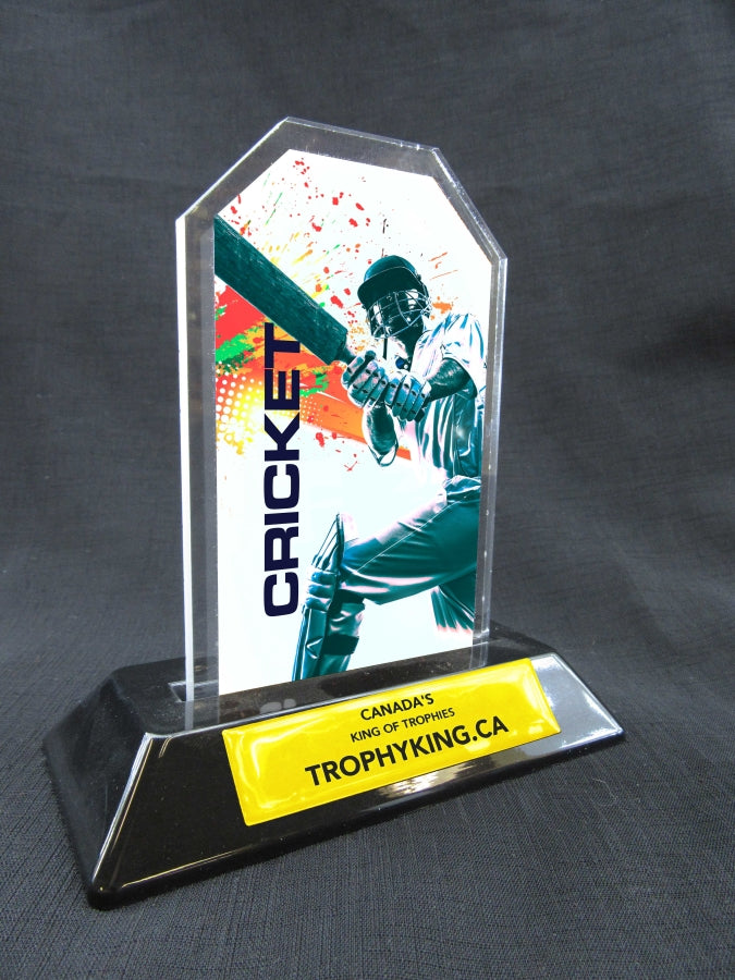 6" Peak Acrylic - cricket