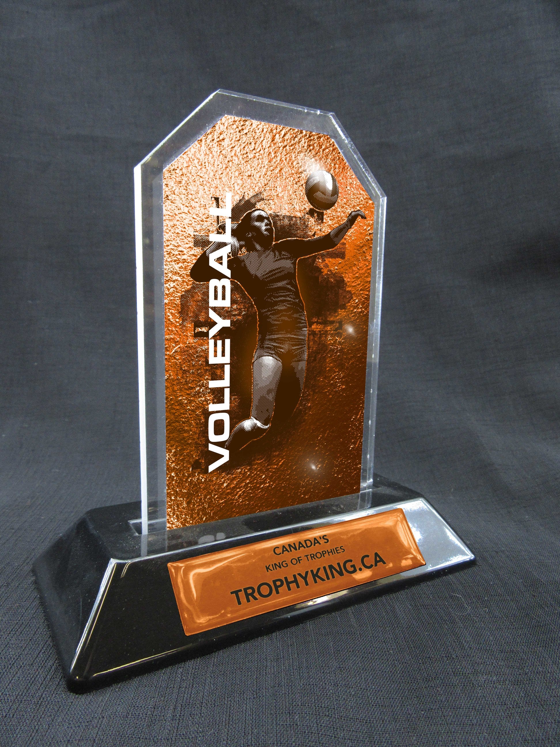6" Peak Acrylic Award - Volleyball Main image