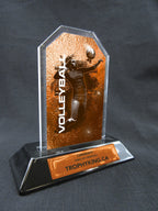 6" Peak Acrylic Award - Volleyball