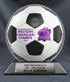 6" Soccer Ball - 2 Tone Ball