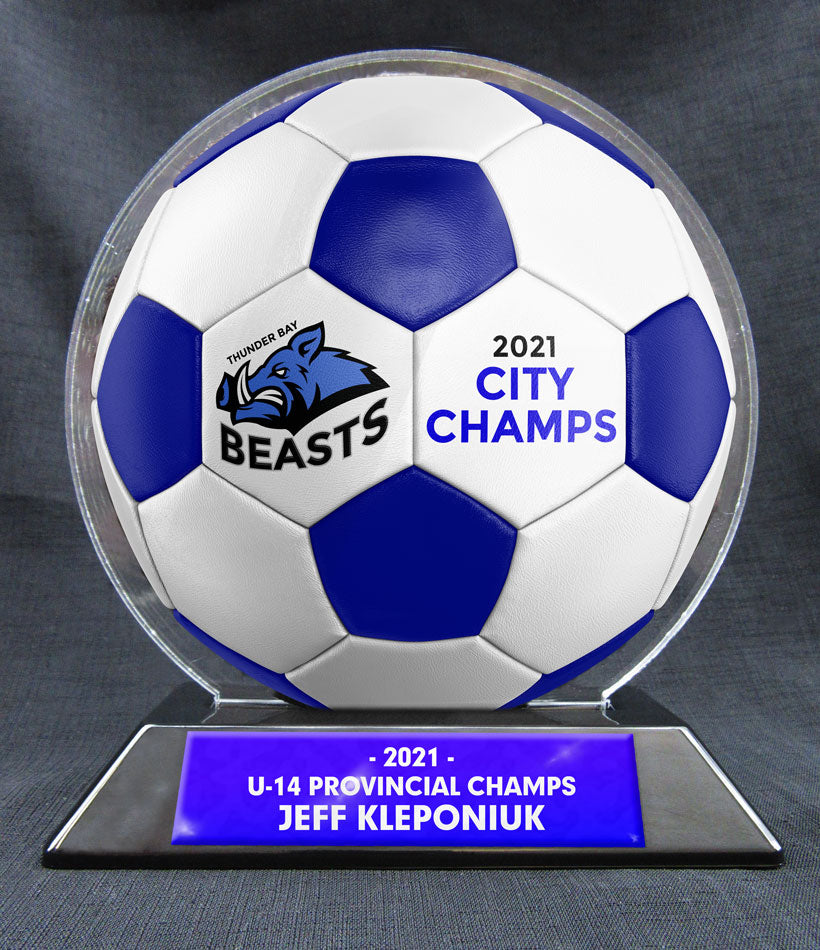 6" Soccer Ball - 2 Tone Ball