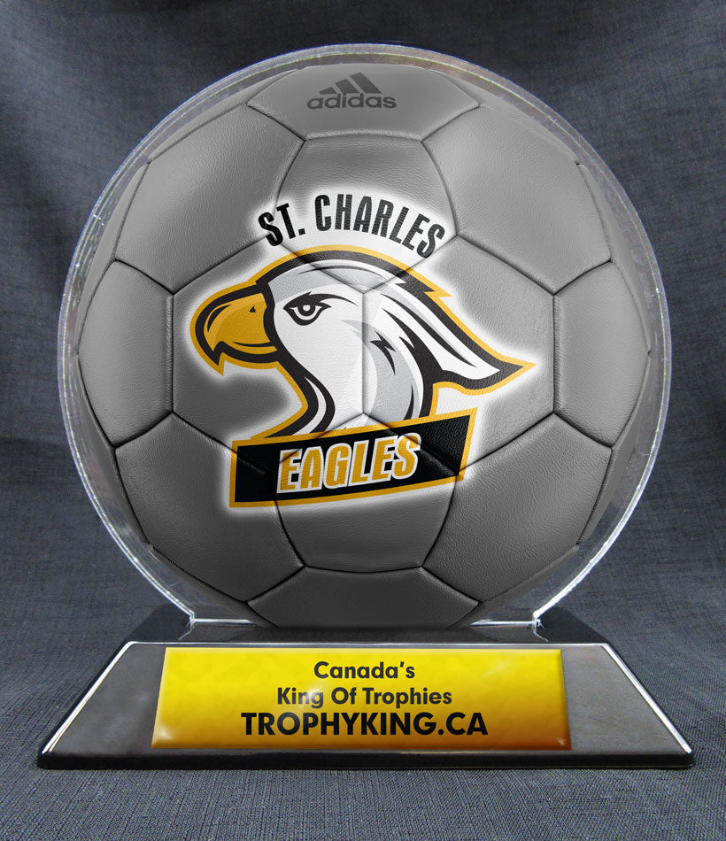 6" Soccer Ball - Solid Color