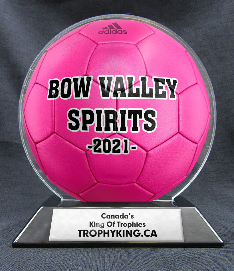 6" Soccer Ball - Solid Color