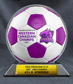 6" Soccer Ball - 2 Tone Ball