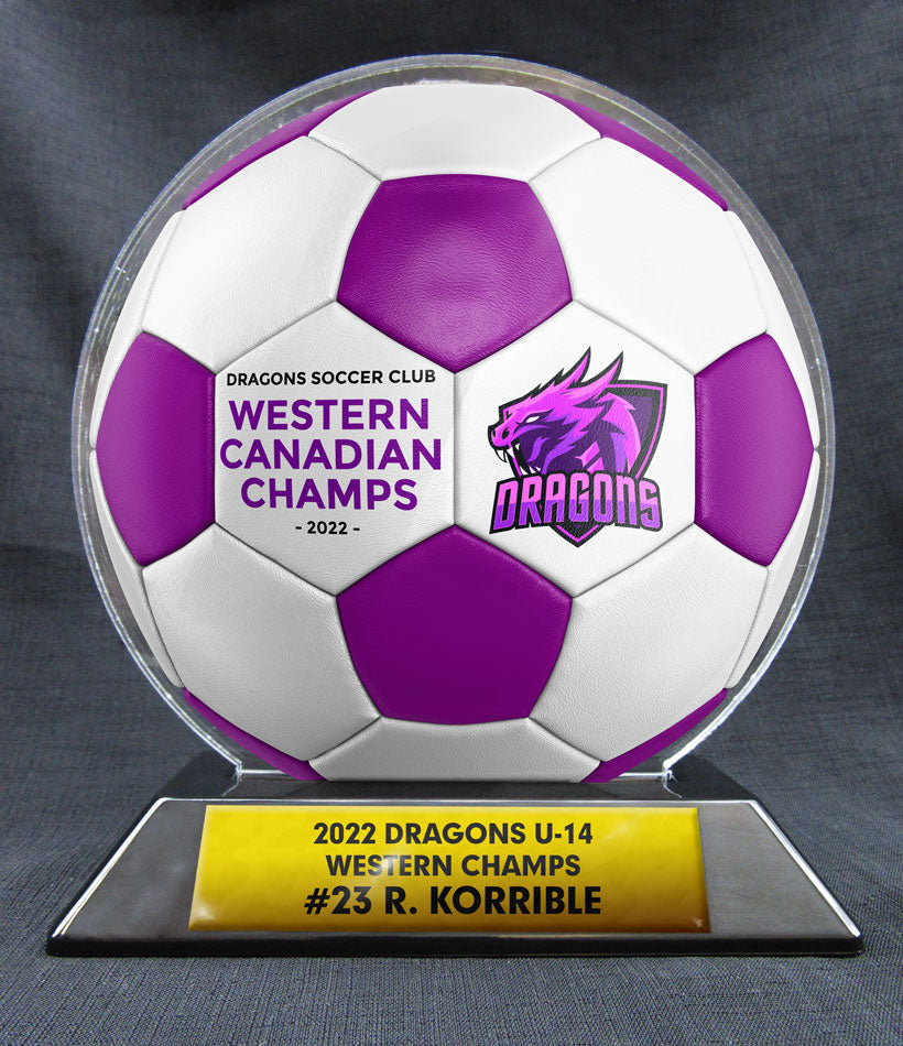 6" Soccer Ball - 2 Tone Ball