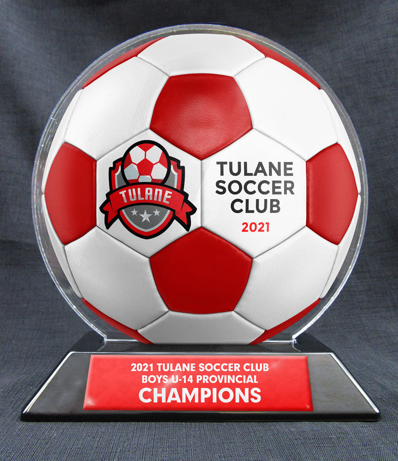 6" Soccer Ball - 2 Tone Ball