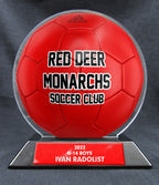 6" Soccer Ball - Solid Color