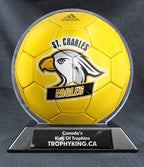 6" Soccer Ball - Solid Color