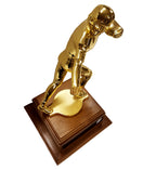 The Heisman Pinnacle Award