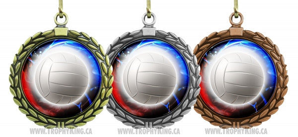 2.50 Large Medal - Volleyball 1